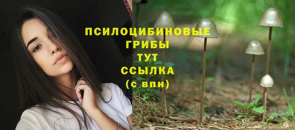 mix Алексеевка