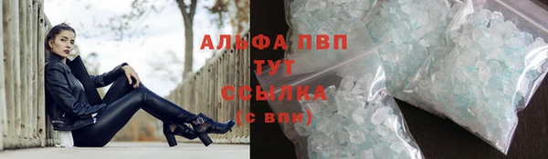 a pvp Алзамай