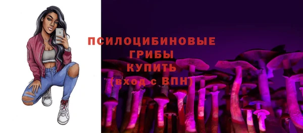 a pvp Алзамай