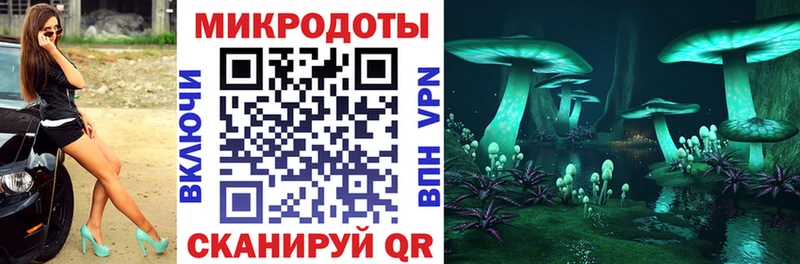 купить наркотик  Далматово  KRAKEN   мориарти какой сайт  Псилоцибиновые грибы MAGIC MUSHROOMS 
